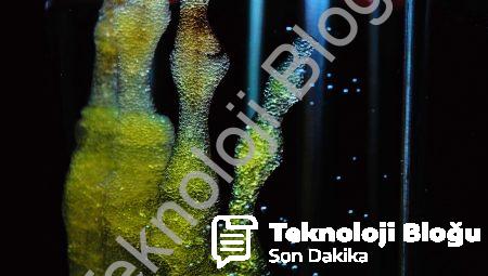 Holografik Performans Sanatı: Sanatın Geleceği Nasıl Şekillenecek?